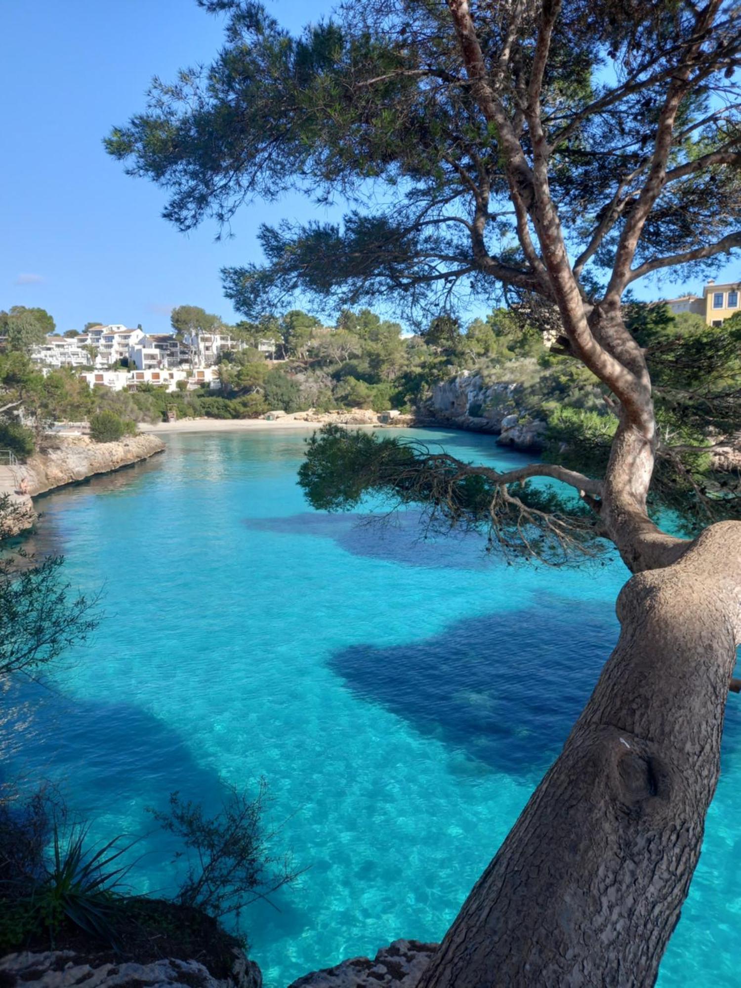 Appartement Ferrera Park Vue Mer Cala Ferrera  Exteriör bild